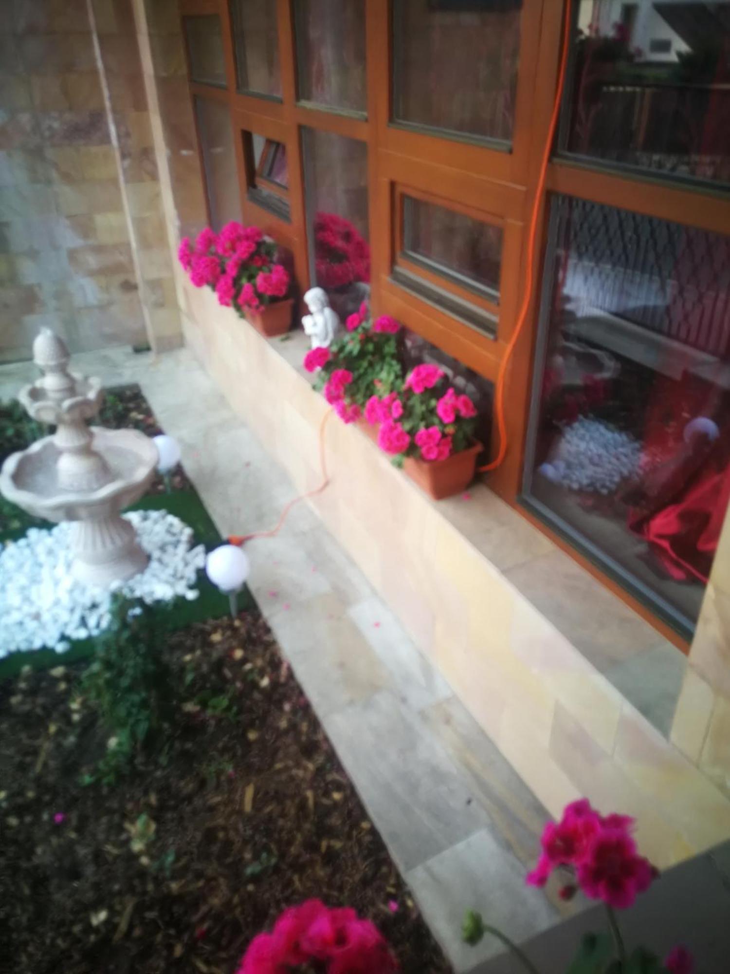 Villa Barrandov Pokoj 3 布拉格 外观 照片
